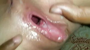 කැරොලිනා රසකැවිලි අන්තර් වාර්ගික