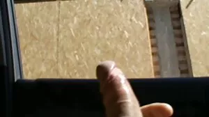 පුරප්පාඩු නැත