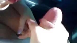 විනාස් විශේෂ දිනය