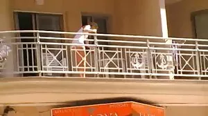 සහජීවනය සඳහා තවත් භූමිකාවක් නැත