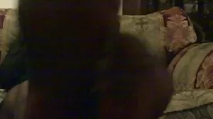 Bailey's Stretchy Assole