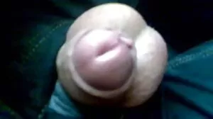 ප්‍රාථමික ආශාව 2