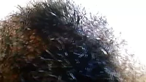 LaSirena සමඟ හරස් පුහුණුව