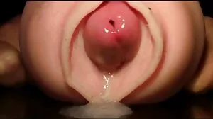 ආදරය සඳහා සුදුසුයි