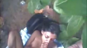 ලිංගික සෙල්ලම් බඩු කතාව