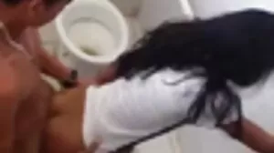 හනි බ්ලොසම්ගේ ස්වීට් පුසිට අලෝ